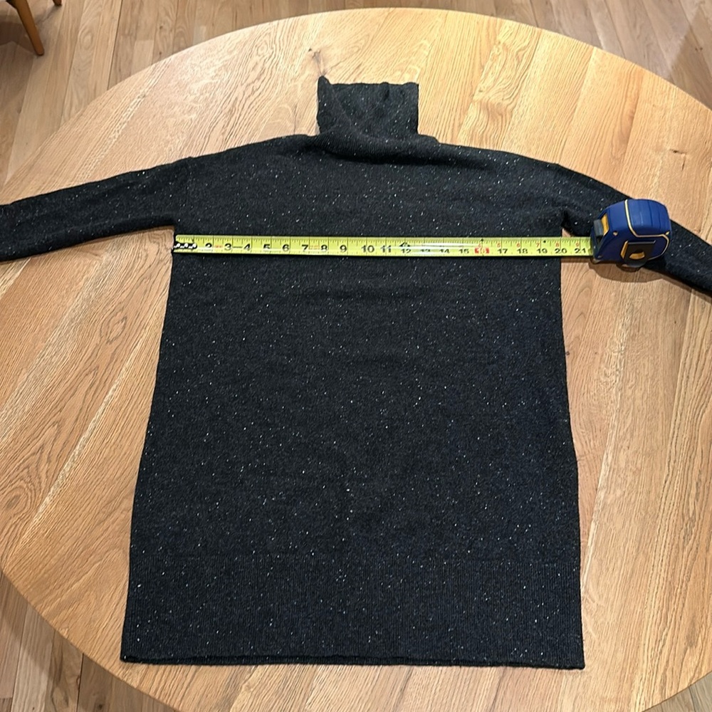 Everlane cashmere sweater dress XXS